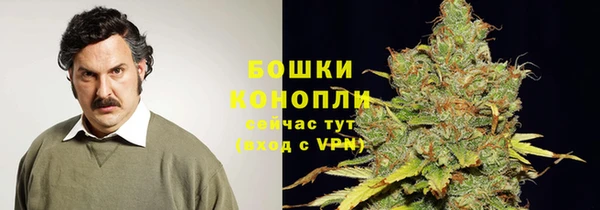 дурь Верея