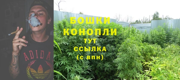 дурь Верея