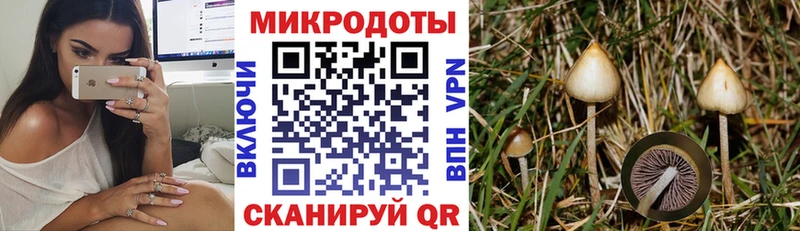 Псилоцибиновые грибы MAGIC MUSHROOMS  Купить где  Торжок 